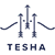 Tesha Group logo 2