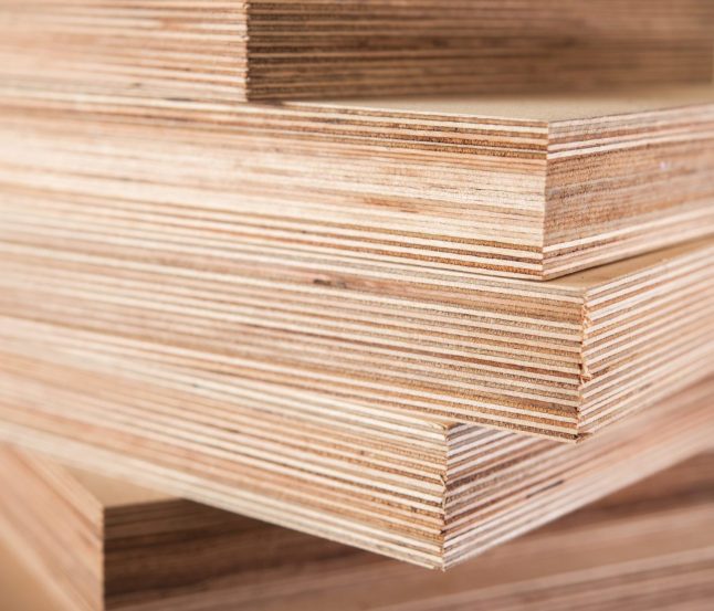 Vietnam Birch Plywood - Plywood & Specialty Panel Products - Tesha Group