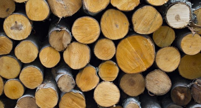 Pine Wood  Logs