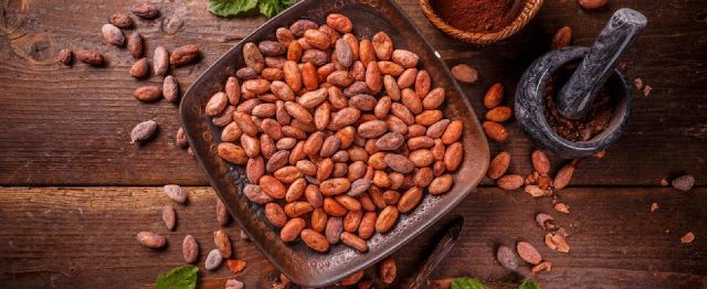 Cocoa Beans 2 - Tesha Group