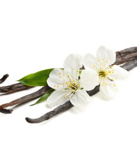 Vanilla - Agro-Based Products