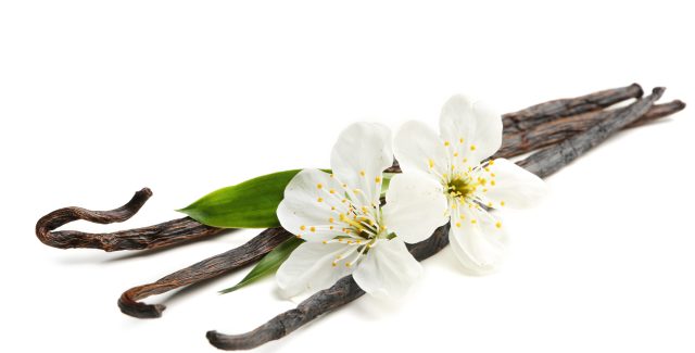 Vanilla - Agro-Based Products