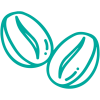 Cocoa beans icon – Tesha Group Cocoa beans Icon - Tesha Group