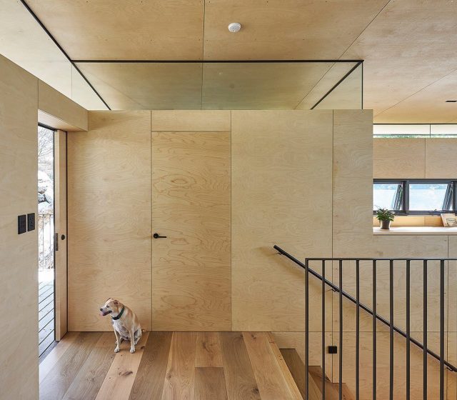 Interior Birch Plywood for home interior - Tesha Group