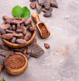 Natural cocoa powder, cocoa beans and pieces of dark chocolate