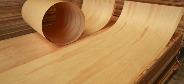 Rotary Peeled Veneer - Veneer Products - Tesha Group